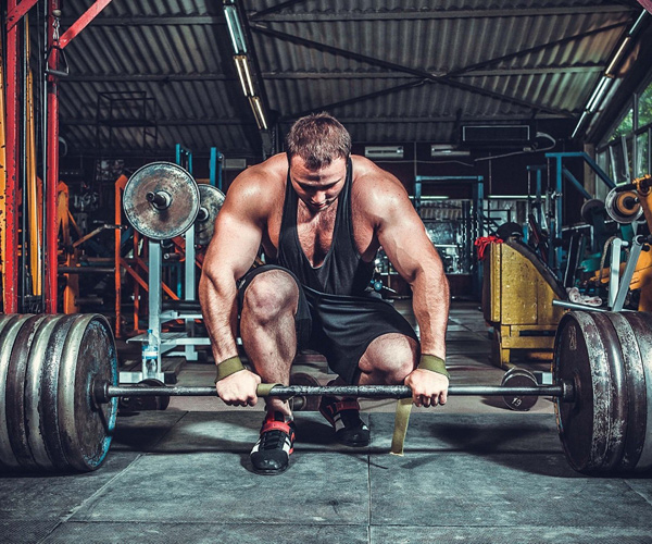 Gym Wear